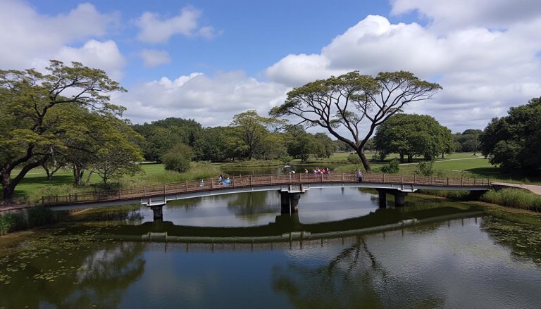 découvrez les motos électriques zero s et ds, accessibles dès le permis b, alliant performance et respect de l'environnement pour une nouvelle expérience de conduite urbaine.