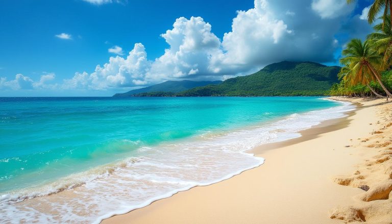 découvrez le guide essentiel pour choisir la meilleure période pour partir en martinique et préparez un voyage réussi avec nos conseils pratiques et astuces indispensables.